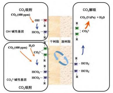 65223f35ad570.png 0000e3732566fe0762251961064f681.png